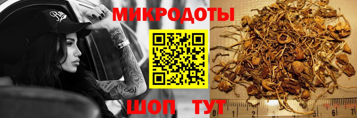 Псилоцибиновые грибы Cubensis  Вход с VPN  Владикавказ 