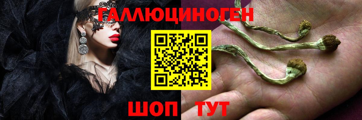 Псилоцибиновые грибы Psilocybine cubensis Владикавказ